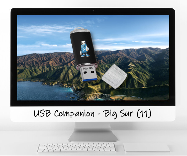 Big Sur Bootable USB Installer for MacOS - Fix Your Mac