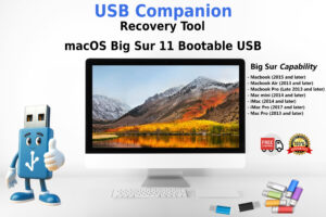 macOS Big Sur 11.0 Bootable USB Recovery Tool